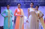 Model at Fashion show, Melange with collections by Payal Singhal on 1st Aug 2015 (223)_55bdfe9db7a3e.JPG