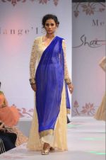 Model at Fashion show, Melange with collections by Payal Singhal on 1st Aug 2015 (229)_55bdfea3c4df9.JPG
