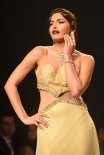 Model walk for Manali Jagtap Show at IIJW 2015 on 4th Aug 2015  (45)_55c0c79764f6f.JPG