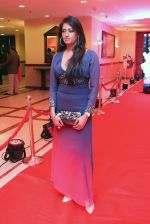 Brinda Parekh-2 at Luv Isranis wedding wrap up party_55c1b2d8d4a7e.jpg