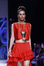 Model walk the ramp for IIJW 2015  Day 2 on 4th Aug 2015 (6)_55c1b0c2a2a50.JPG
