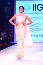 Model walk the ramp for IIJW 2015  Day 2 on 4th Aug 2015 (65)_55c1b0e422a01.JPG