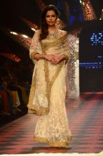 Model walk the ramp for IIJW 2015 Day 3 on 5th Aug 2015 (161)_55c320c20532a.JPG
