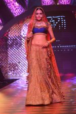Model walk the ramp for IIJW 2015 Day 3 on 5th Aug 2015 (183)_55c320dd1be99.JPG