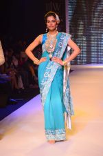 Model walk the ramp for IIJW 2015 Day 3 on 5th Aug 2015 (86)_55c3208d5db18.JPG