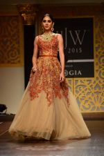 Model walk the ramp for Shyamal bhumika Grand Finale Show at IIJW 2015 on 6th Aug 2015 (17)_55c463366fc47.JPG