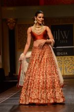 Model walk the ramp for Shyamal bhumika Grand Finale Show at IIJW 2015 on 6th Aug 2015 (23)_55c4633c897bc.JPG