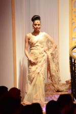 Model walk the ramp for Shyamal bhumika Grand Finale Show at IIJW 2015 on 6th Aug 2015 (66)_55c4633d4dc73.JPG