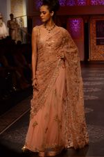 Model walk the ramp for Shyamal bhumika Grand Finale Show at IIJW 2015 on 6th Aug 2015 (73)_55c463434d027.JPG