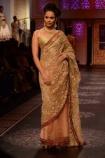 Model walk the ramp for Shyamal bhumika Grand Finale Show at IIJW 2015 on 6th Aug 2015 (74)_55c4634437a72.JPG