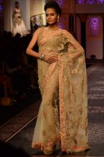 Model walk the ramp for Shyamal bhumika Grand Finale Show at IIJW 2015 on 6th Aug 2015 (76)_55c46345af13f.JPG