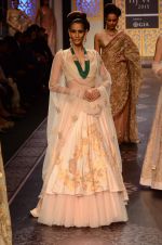 Model walk the ramp for Shyamal bhumika Grand Finale Show at IIJW 2015 on 6th Aug 2015 (77)_55c463468a227.JPG