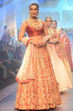 Model walk the ramp for Shyamal bhumika Grand Finale Show at IIJW 2015 on 6th Aug 2015 (87)_55c4634f71d20.JPG