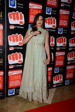 at Micromax SIIMA AWARDS 2015 RED CARPET DAY2 on 6th Aug 2015 (132)_55c469652aa62.JPG