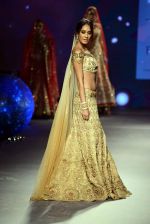 Lisa Haydon walks for Tarun Tahiliani Show at India Bridal Week on 8th Aug 2015 (15)_55c73f6d8e56e.jpg