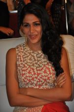 Lavanya Tripathi at Bhale Bhale Magadivoy Movie Audio (42)_55d07c93104b1.jpg