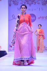 Model walks for Payal Singhal and Sahiba_s Melange show in palladium on 15th Aug 2015 (186)_55d07b9905783.JPG