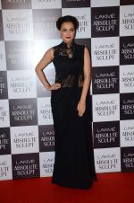 Dia Mirza at the grand finale of Lakme Fashion Week 2015 on 30th Aug 2015(29)_55e4065b10568.JPG