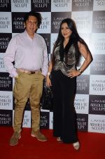 at the grand finale of Lakme Fashion Week 2015 on 30th Aug 2015  (86)_55e406666600e.JPG
