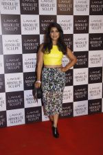 at the grand finale of Lakme Fashion Week 2015 on 30th Aug 2015 (203)_55e406f7269de.JPG
