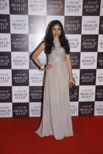 at the grand finale of Lakme Fashion Week 2015 on 30th Aug 2015 (208)_55e406fea61b7.JPG