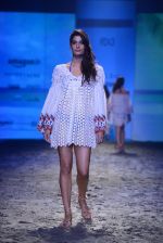 Model walk the ramp for Payal Jain Show at Amazon Fashion Week Day 3 on 9th Oct 2015  (60)_561903860ea35.JPG