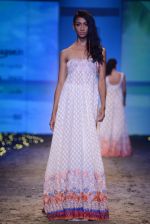 Model walk the ramp for Payal Jain Show at Amazon Fashion Week Day 3 on 9th Oct 2015  (92)_561903bdbbab1.JPG