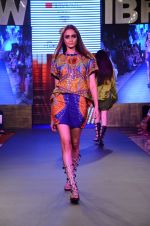 Model walk the ramp for James Ferriera Show at Gionee india beach fashion week day 1 on 29th Oct 2015 (21)_56331d896c147.JPG