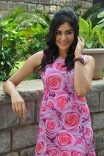 Adah Sharma photo shoot on 14th Nov 2015 (11)_56482ddb332d4.jpg