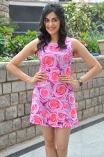 Adah Sharma photo shoot on 14th Nov 2015 (46)_56482dee0550b.jpg