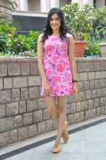 Adah Sharma photo shoot on 14th Nov 2015 (51)_56482df0c6575.jpg