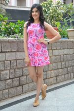 Adah Sharma photo shoot on 14th Nov 2015 (55)_56482df2ed6ed.jpg