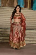 Leena Singh Show at Cancer Society of Hope fashion show in Delhi on 15th Nov 2015  (3)_56498b7fcbe76.jpg