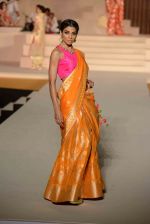 Model walk the ramp for Threads of Banares fashion show in Delhi on 15th Nov 2015 (19)_56498b9e091ca.jpg