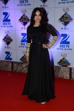 at Zee Rishtey Awards in Mumbai on 21st Nov 2015 (95)_56515de019edb.JPG