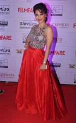 Smita Gondkar at the Red Carpet of _Ajeenkya DY Patil University Filmfare Awards (Marathi) 2014__5652e093cc6ce.JPG