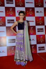 Claudia Ciesla at Indian telly awards red carpet on 28th Nov 2015 (225)_565c3a2a2c10e.JPG