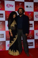 at Indian telly awards red carpet on 28th Nov 2015 (121)_565c39c5bbbe6.JPG