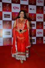 at Indian telly awards red carpet on 28th Nov 2015 (264)_565c3a0c4df88.JPG