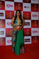 at Indian telly awards red carpet on 28th Nov 2015 (269)_565c3a1040a46.JPG
