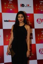 at Indian telly awards red carpet on 28th Nov 2015 (370)_565c3a491e5ee.JPG
