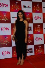 at Indian telly awards red carpet on 28th Nov 2015 (371)_565c3a4a02aad.JPG