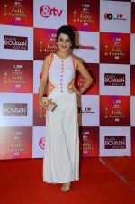 at Indian telly awards red carpet on 28th Nov 2015 (429)_565c3a61a8ad3.JPG