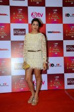 at Indian telly awards red carpet on 28th Nov 2015 (510)_565c3a8d5ad60.JPG
