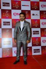 at Indian telly awards red carpet on 28th Nov 2015 (618)_565c3ac6878ce.JPG