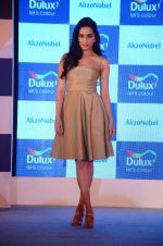 Shraddha Kapoor at Dulux event on 2nd Dec 2015 (42)_56605d1eed5d2.JPG