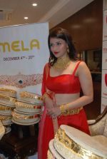 MANNARA CHOPRA IN SIZZLING RED LAUNCHES VADDANAM & UNCUT DIAMOND MELA AT MANEPALLY JEWELLERS (29)_56690cd7b5477.jpg