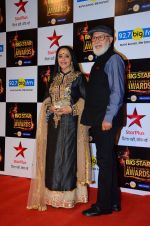 Ila Arun at Big Star Awards in Mumbai on 13th Dec 2015 (64)_566eb1fdb768a.JPG