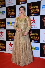 Kainaat Arora at Big Star Awards in Mumbai on 13th Dec 2015 (37)_566eb20968bdf.JPG