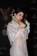 Kainaat Arora at the red carpet of Stardust awards on 21st Dec 2015 (569)_56793e1bc70f8.JPG